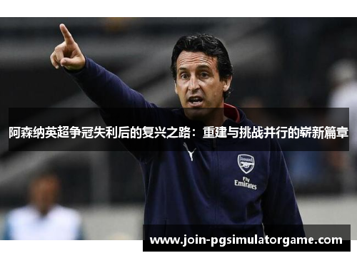阿森纳英超争冠失利后的复兴之路：重建与挑战并行的崭新篇章