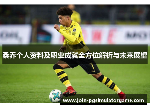 桑乔个人资料及职业成就全方位解析与未来展望